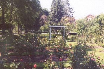 Shaker Heights Community Rose Garden